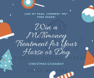 Win a McTimoney Treatment and Massage for Your Horse or Dog
