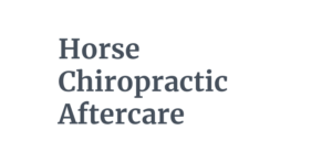 Horse Chiropractic Aftercare